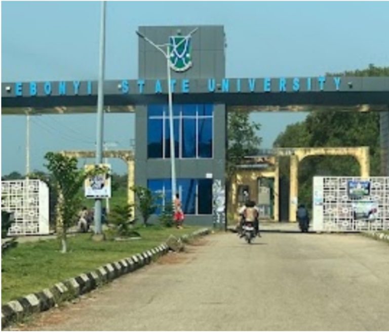 Picsart_24-10-31_08-48-17-810